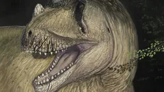 Fotografie kostí zničených během druhé světové války pomohla objevit nový rod masožravých dinosaurů