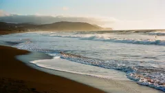 Proč jsou moře slaná a řeky sladké: jednoduché vysvětlení vědeckého fenoménu