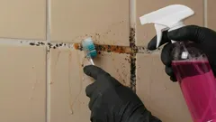 Jak se zbavit plísně ve spárách mezi dlaždicemi – jednoduché a účinné postupy