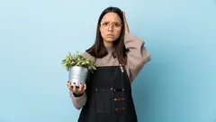 7 chyb, které škodí vašim pokojovým rostlinám, ale považujete je za normální