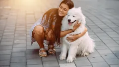 Která psí plemena jsou nejpřítulnější? Veterináři odhalují top 5