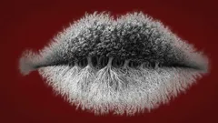 Co na obrázku uvidíte jako první? Objevte svůj osobnostní typ snadno a rychle