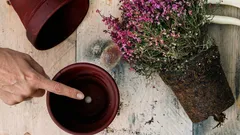 Víte, k čemu ve skutečnosti slouží dírky na dně květináčů?