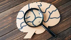 Jak si zlepšit paměť: Jednoduché tipy, díky kterým už na nic nezapomenete